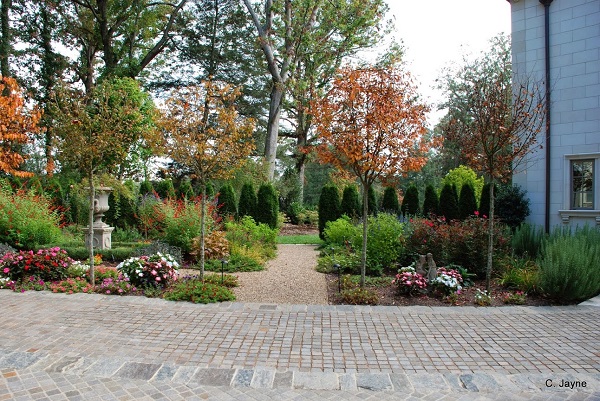 Garden in Fall